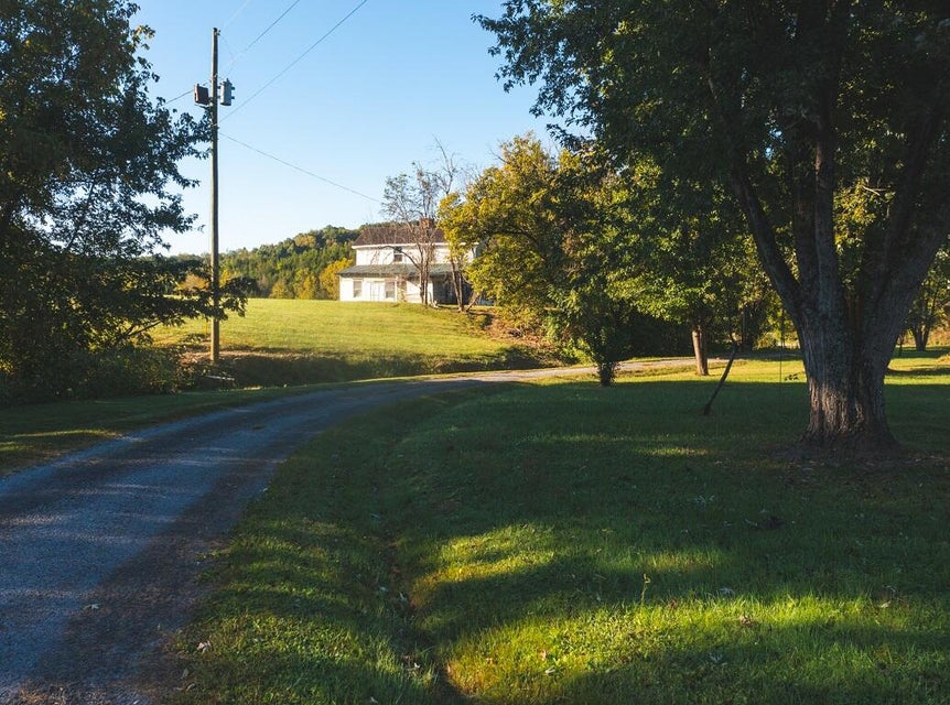 Photo #35: 113 Frost Road