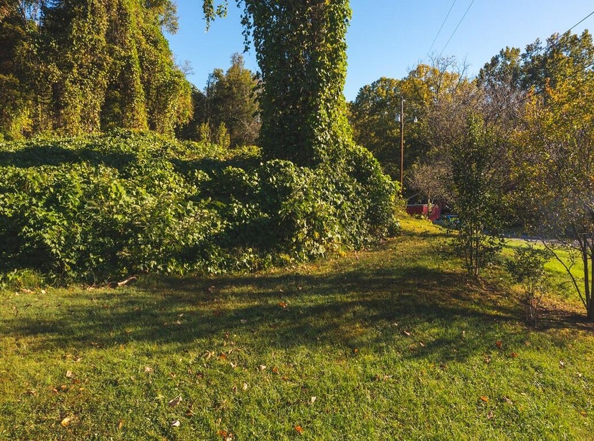 Photo #40: 113 Frost Road