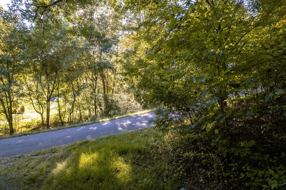Photo #14: 151 Lakeview Drive