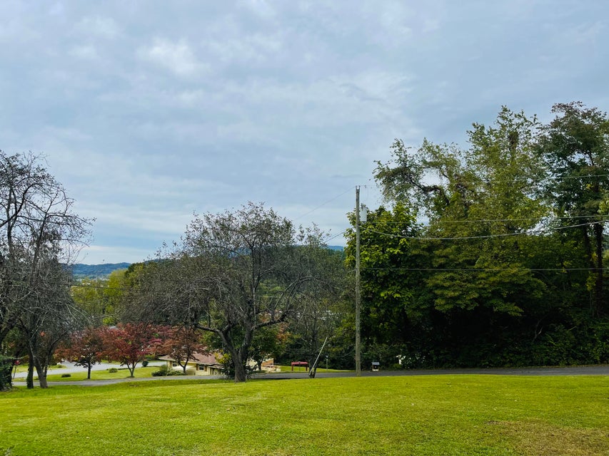 Photo #38: 113 Sunny Acres