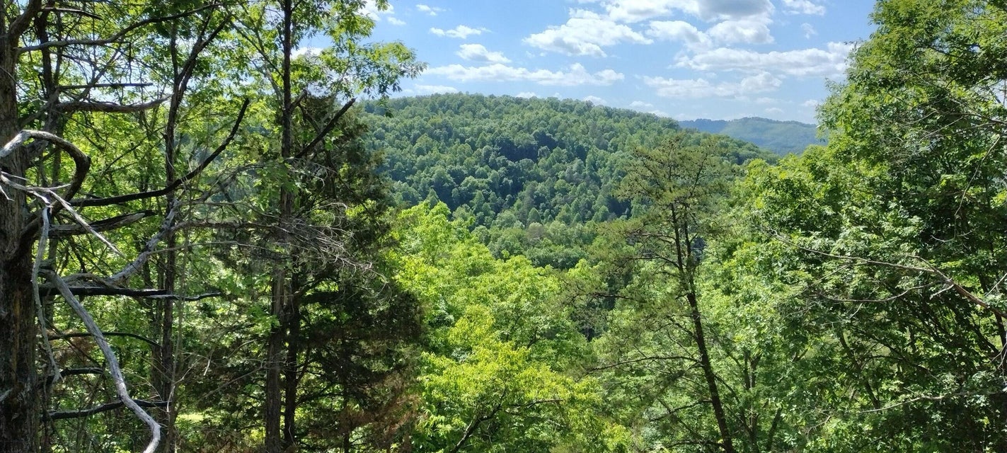 Photo #4: Tr 92-A-12 Flower Gap Road Road