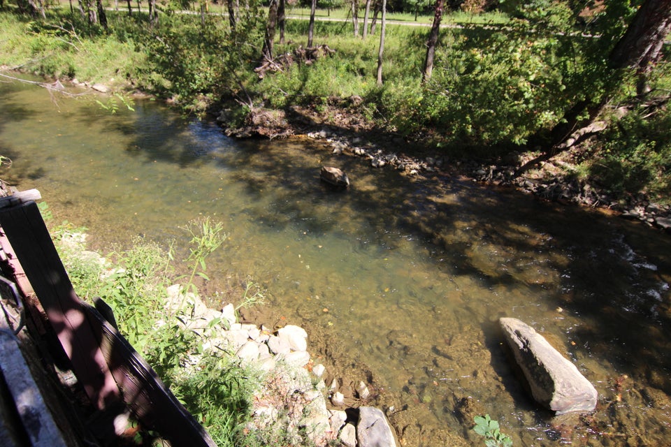 Photo #36: 556 Williams Lane
