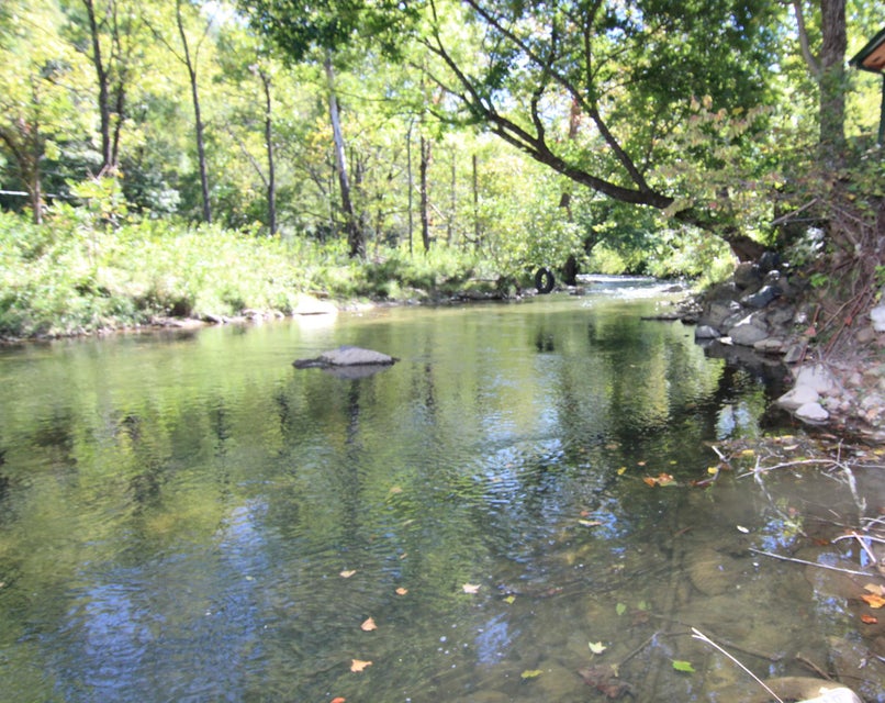 Photo #47: 556 Williams Lane