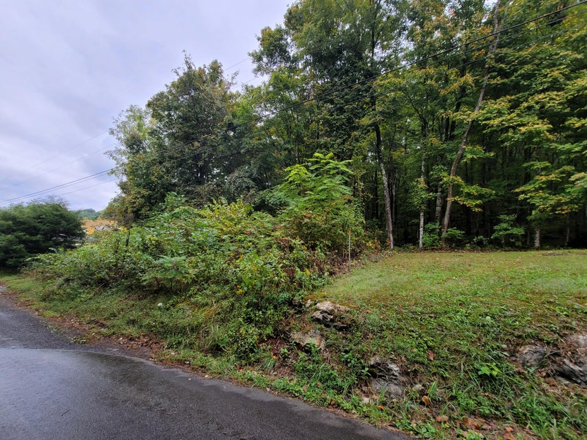 Photo #3: Lot 1 Dogwalk Road