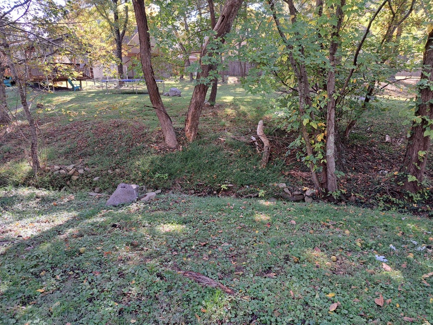 Photo #6: 1905 Birchwood Road