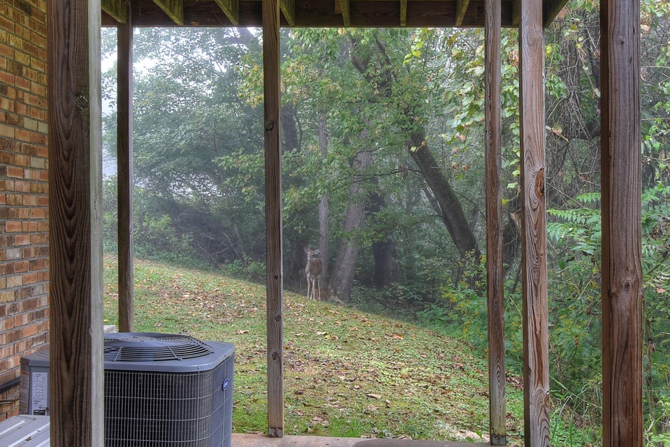 Photo #36: 2113 Bonaire Rd