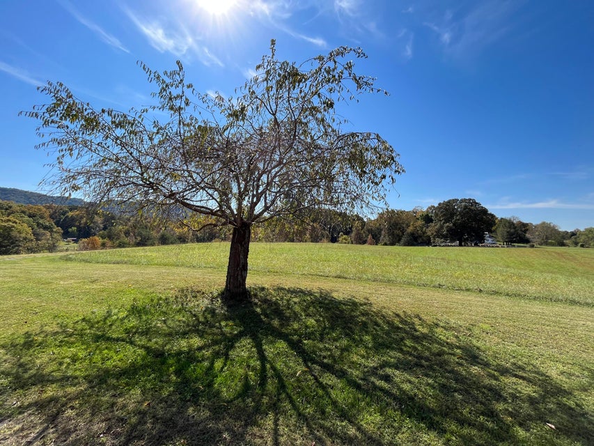 Photo #10: 1436 Christian Bend Road