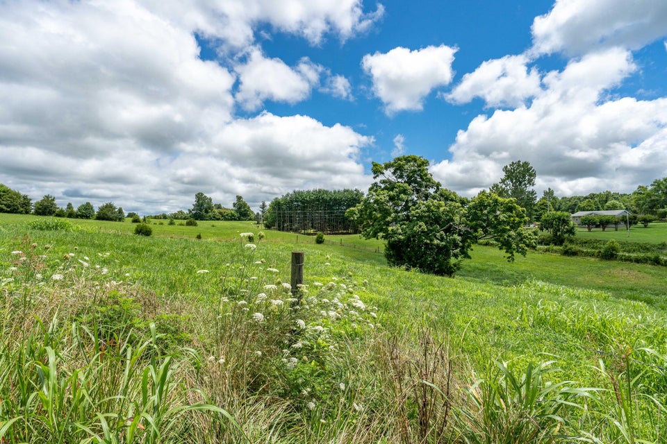 Photo #39: 40 Armstrong Road