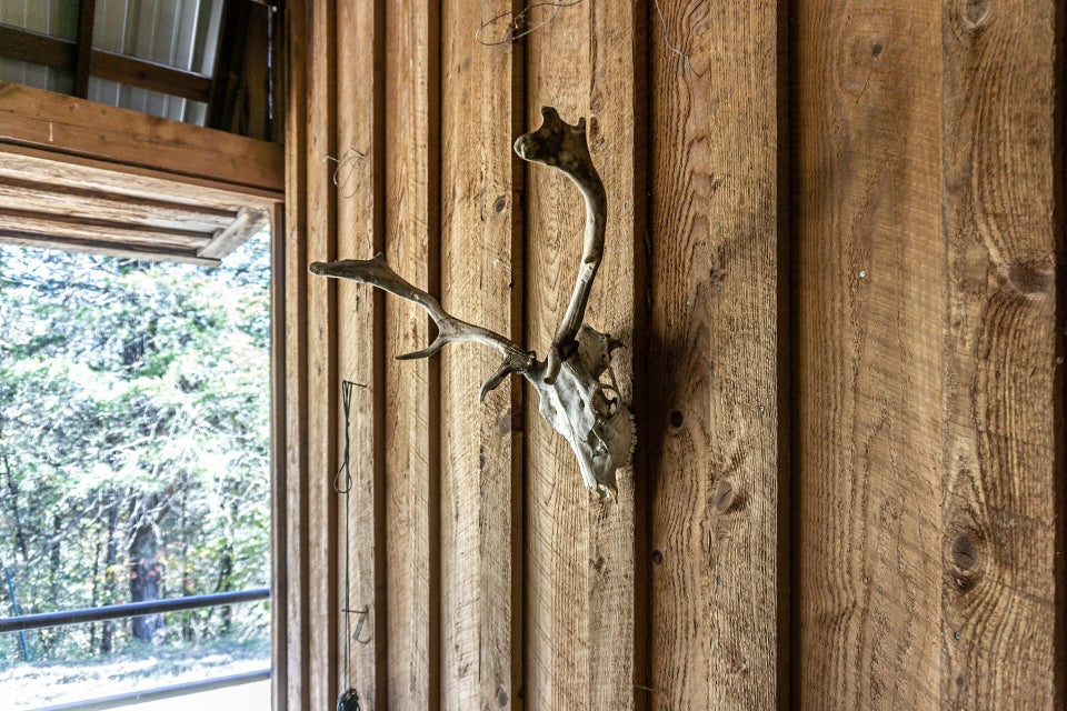 Photo #98: 320 Cox Hill Road