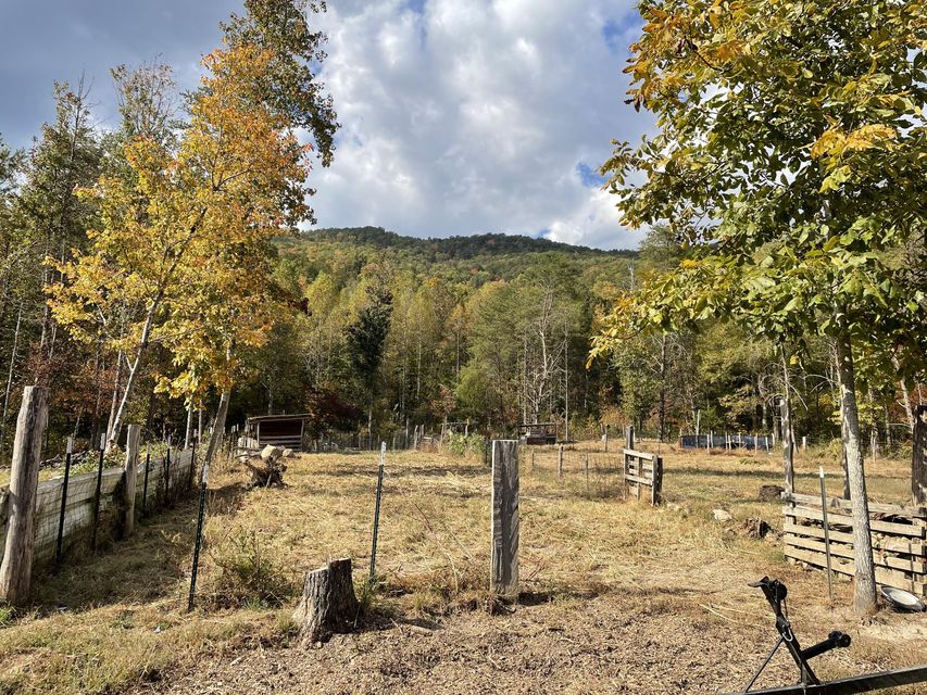 Photo #3: 1693 Steve Brown Road