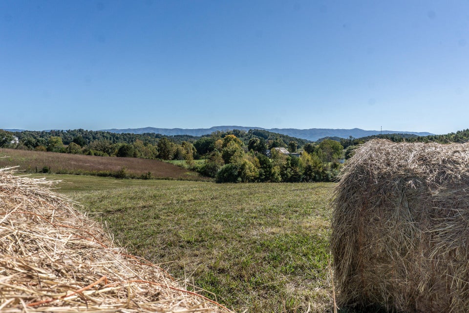Photo #24: 0 Rheatown Road