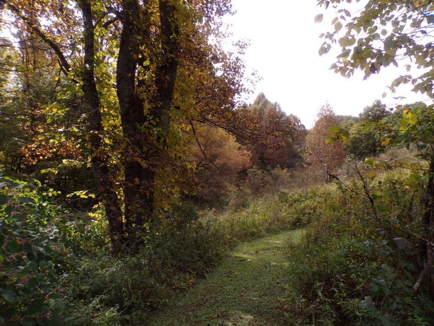Photo #15: 658 Hopper Road Tract 2