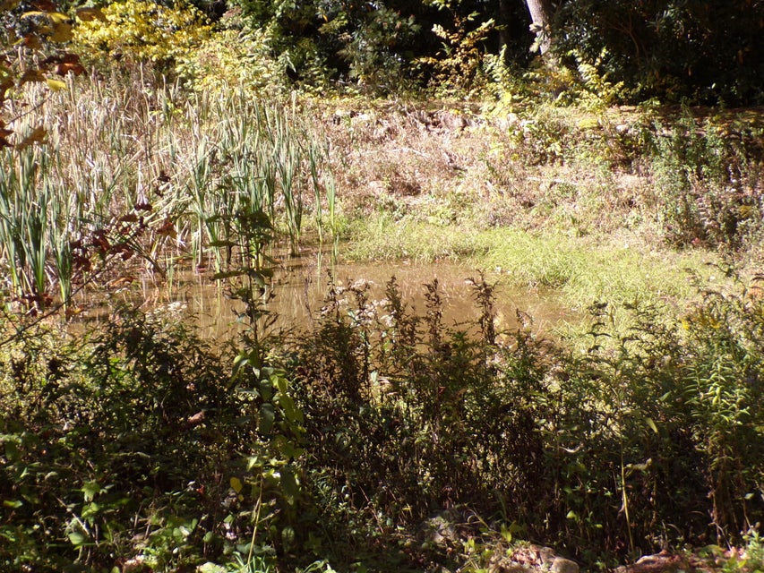 Photo #57: 658 Hopper Road Tract 2