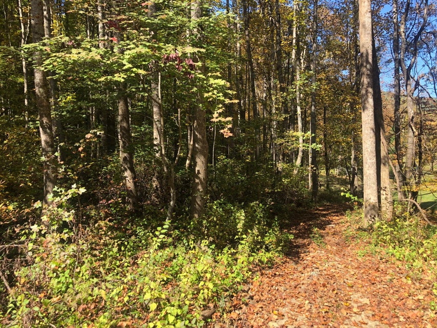 Photo #19: 724 Dry Creek Road