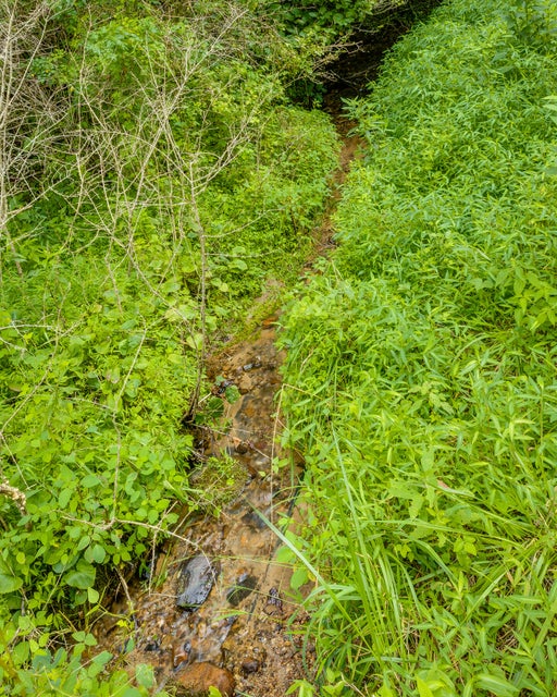 Photo #3: Tbd Horseshoe Lane