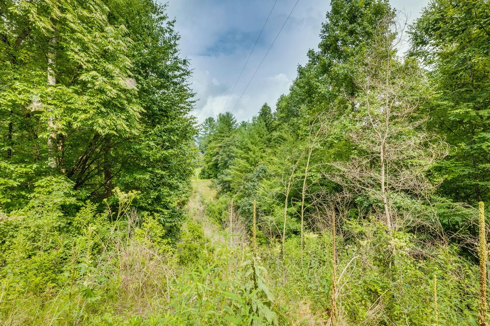 Photo #24: Tbd Horseshoe Lane