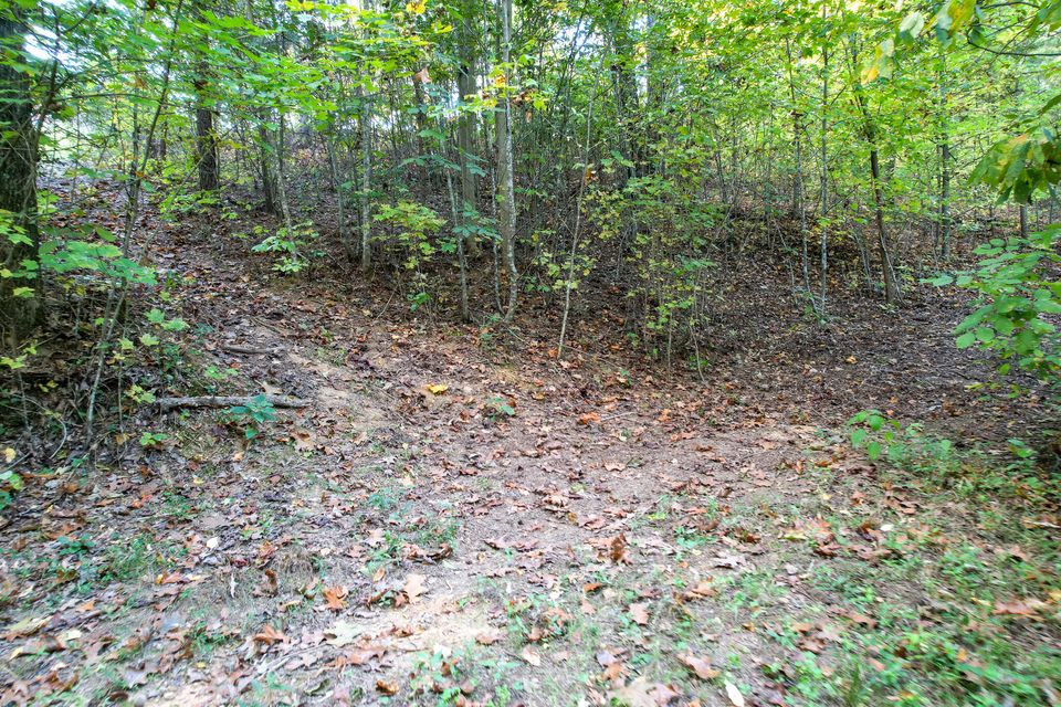 Photo #97: 1316 Poplar Springs Road