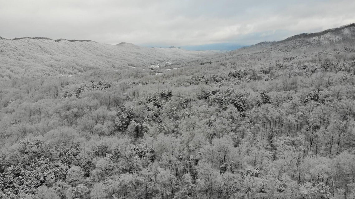 Photo #93: 857 Cloud Creek Road
