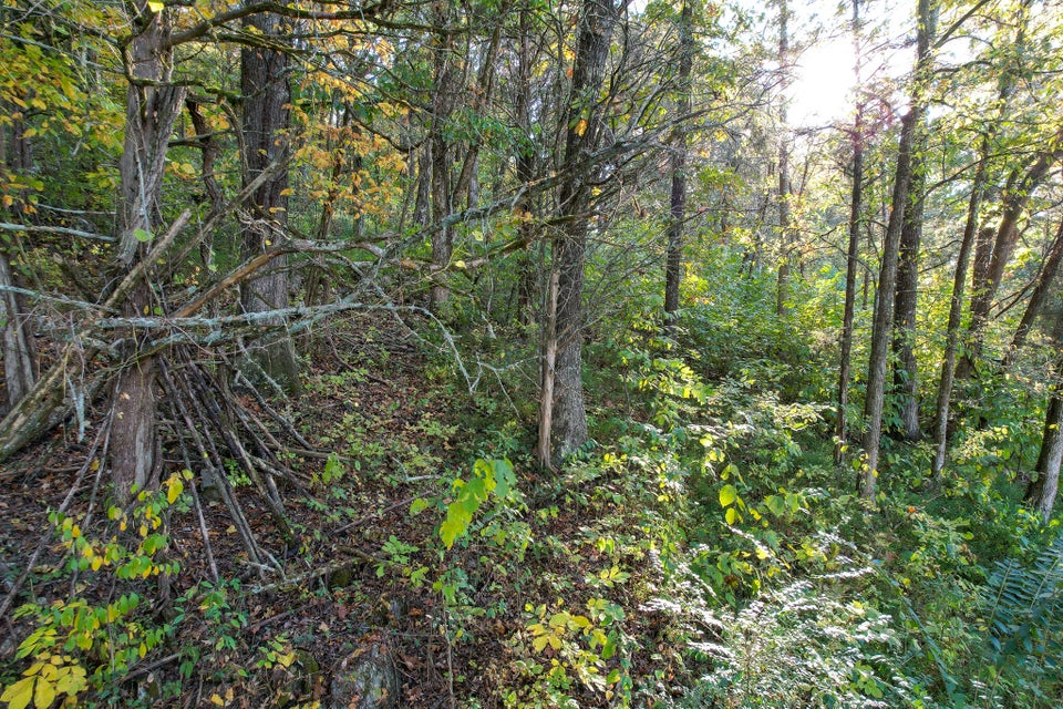 Photo #29: 1370 Iron Bridge Road