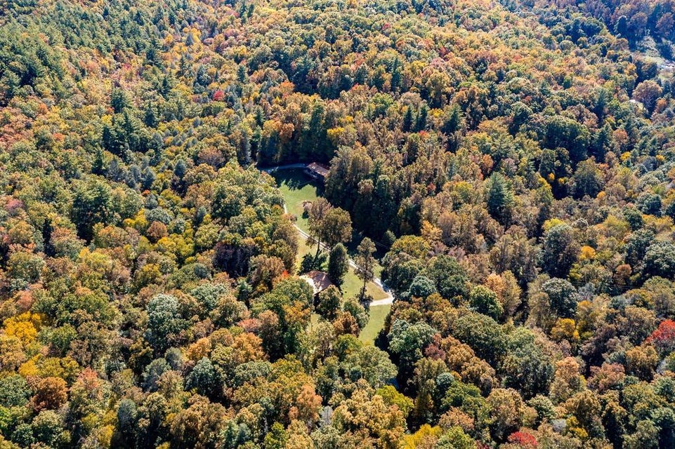 Photo #90: 795 Hiram Clark Road