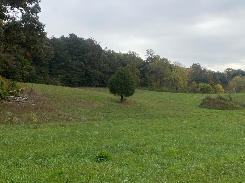 Photo #39: 555 Warrensburg Road