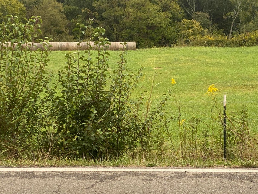 Photo #49: 555 Warrensburg Road