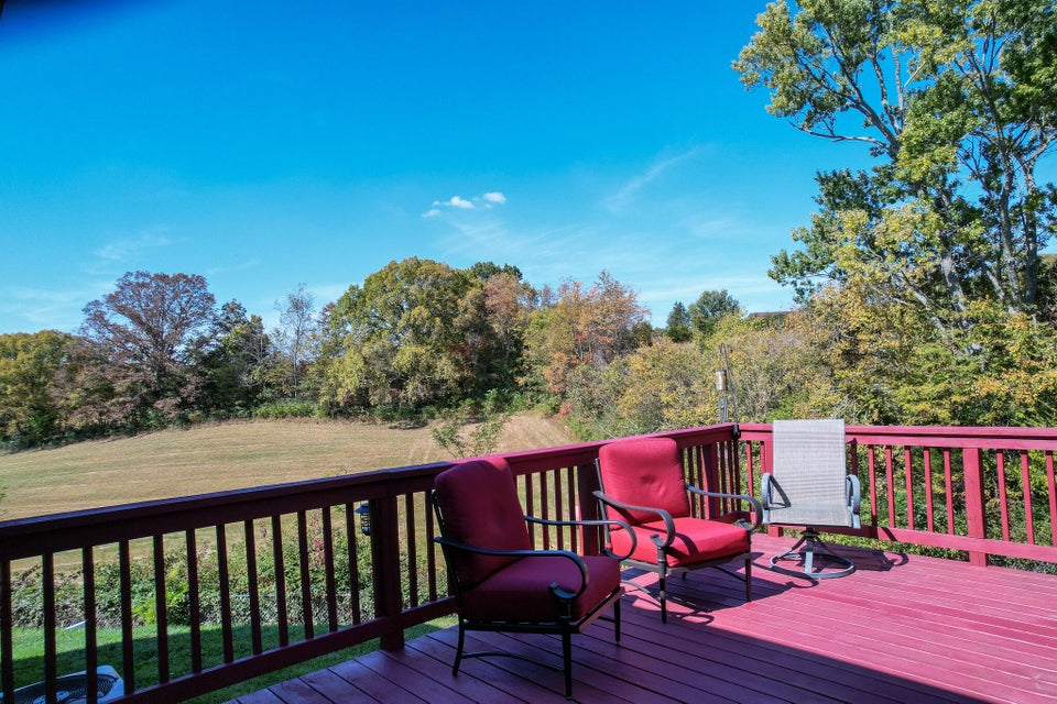 Photo #50: 247 Radford Drive