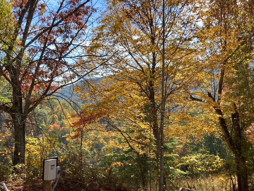 Photo #13: 452 Ray Simerly Road