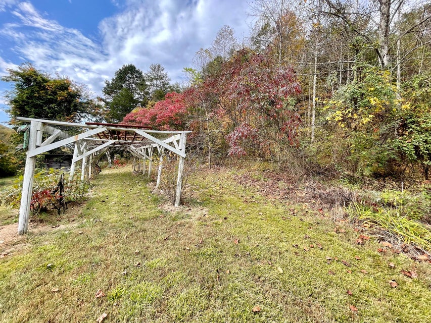 Photo #9: 515 Early Branch Road