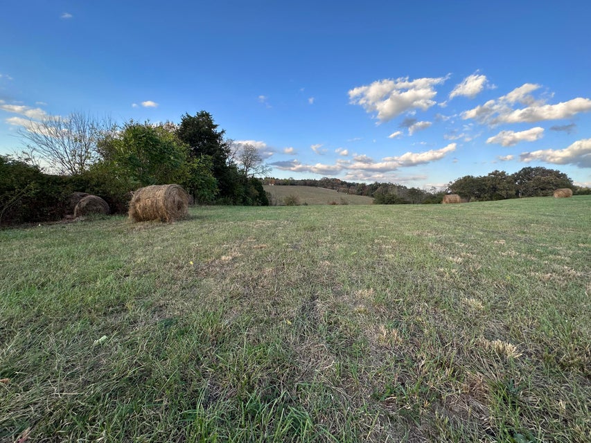 Photo #12: 5.28ac Parman Road
