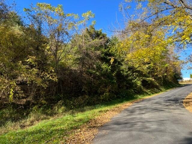 Photo #4: 001 St Rte 612