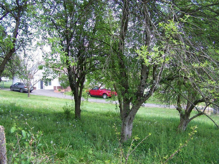 Photo #4: 0 Jeb Stuart Highway