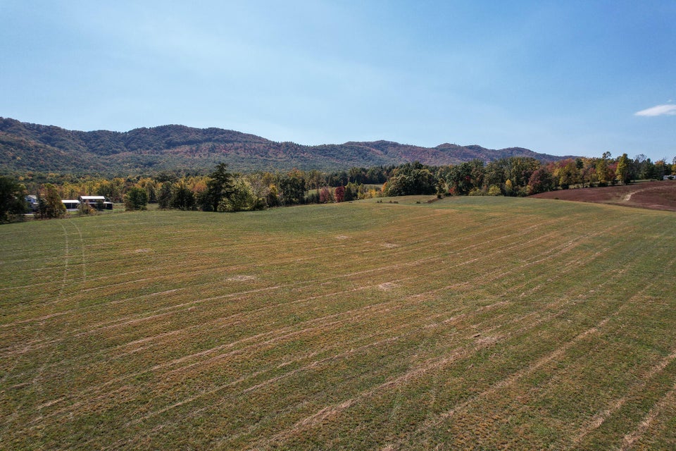 Photo #44: 390 Tweed Springs Road