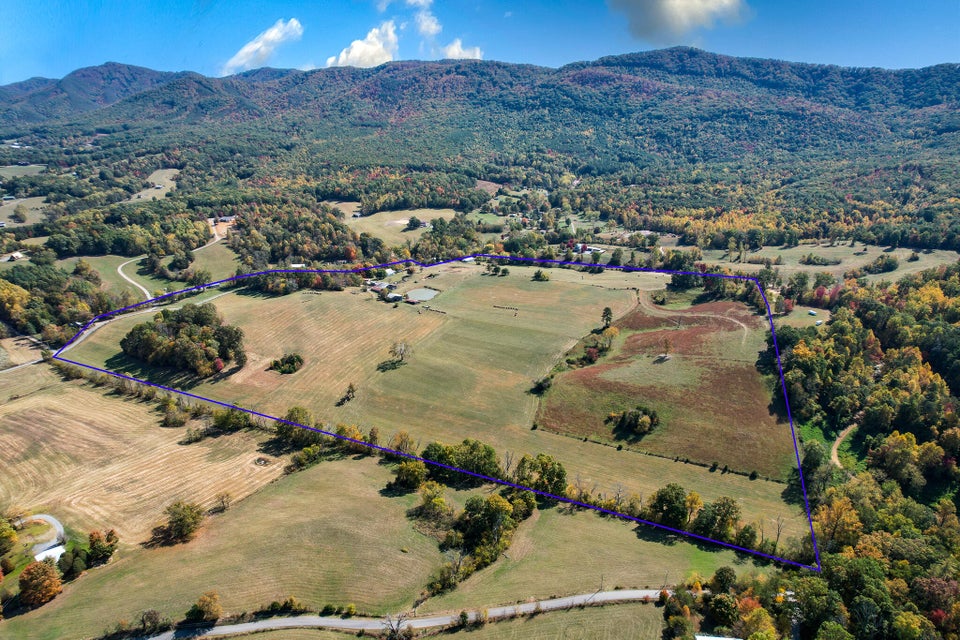 Photo #49: 390 Tweed Springs Road