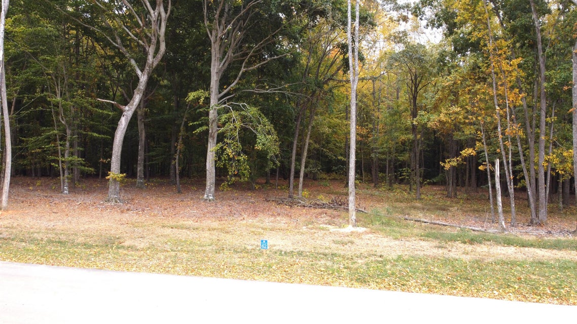 Photo #2: Lot #62 Sunset Boulevard