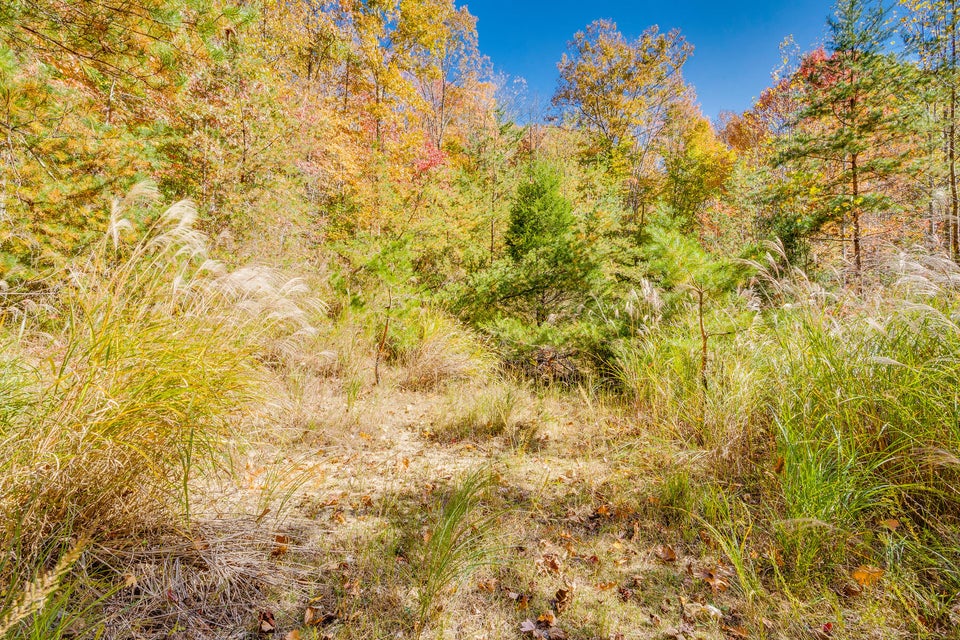 Photo #2: Tbd Lambert Hollow Road