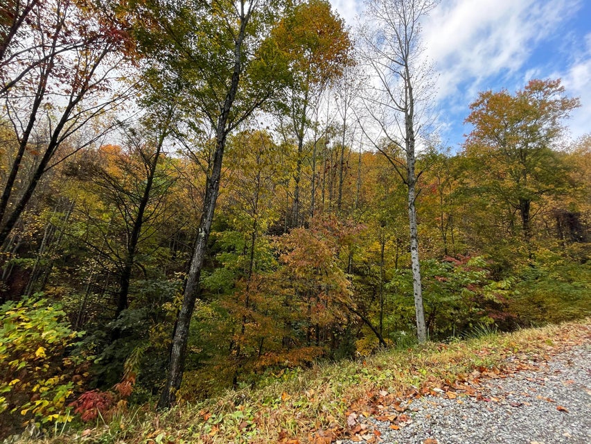 Photo #4: 1775 Barnes Valley Road