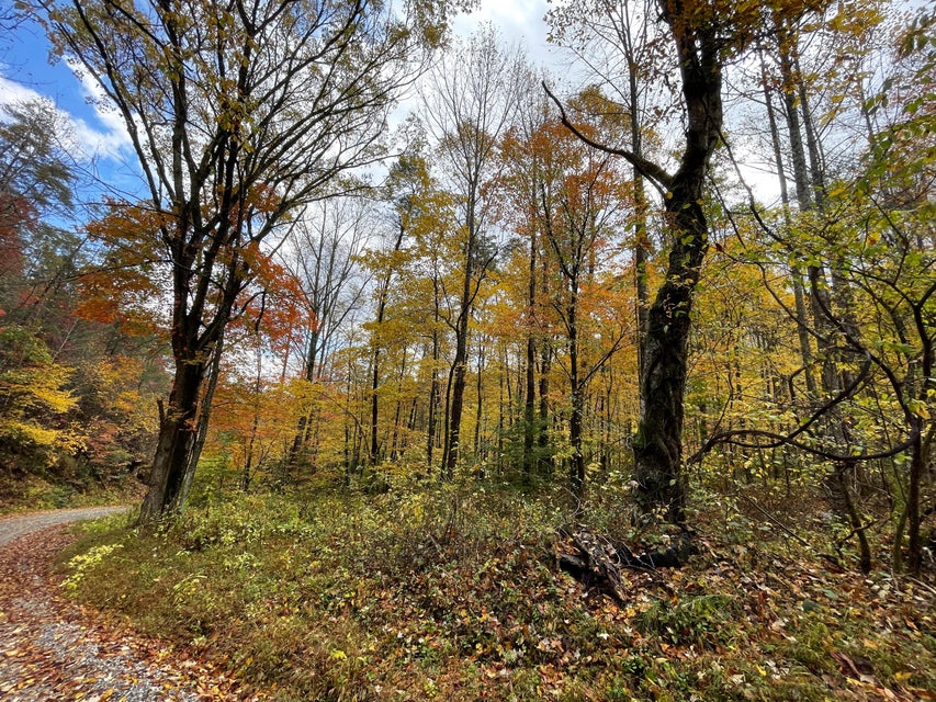 Photo #3: 1775 Barnes Valley Road