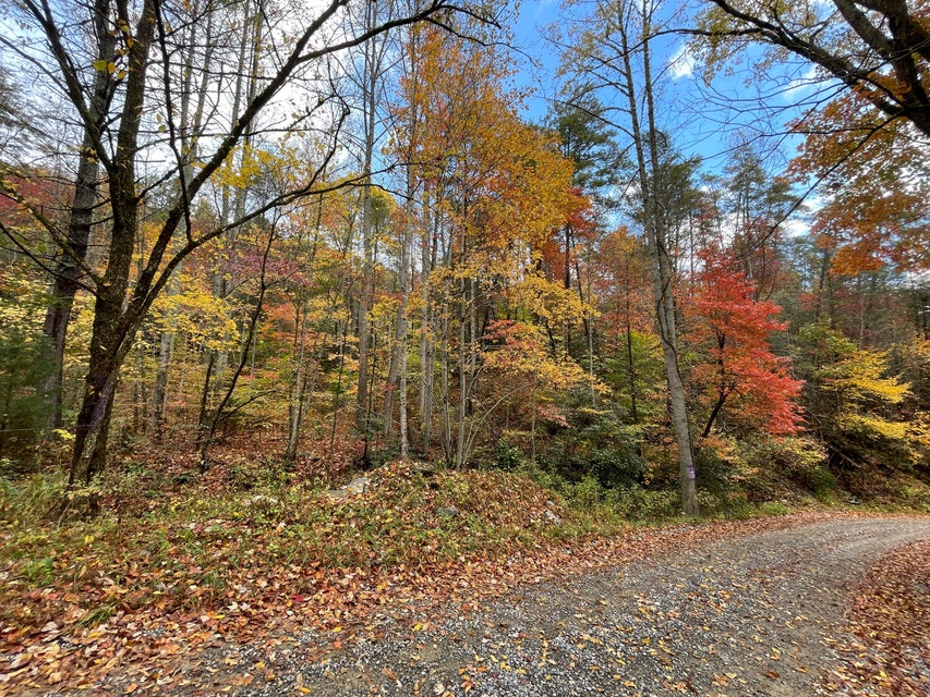 Photo #2: 1775 Barnes Valley Road