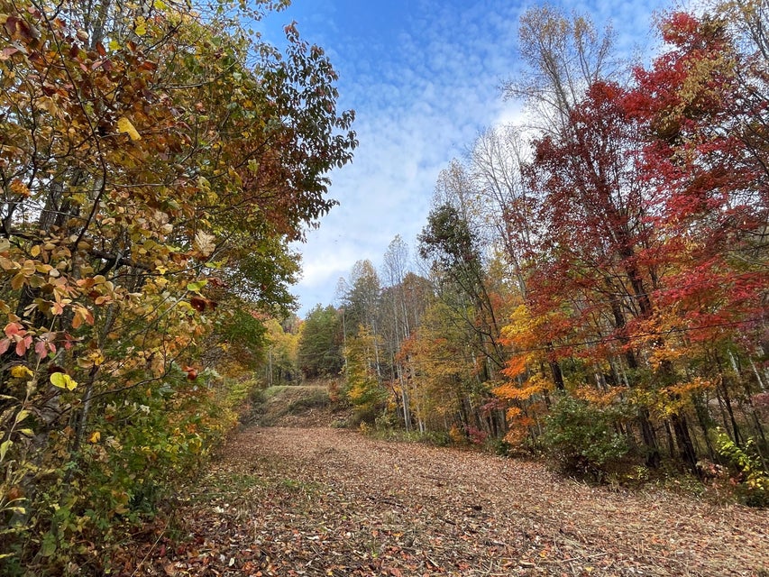 Photo #5: 1775 Barnes Valley Road
