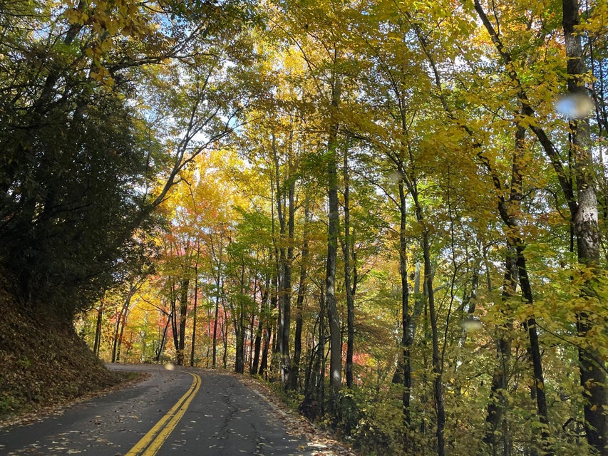 Photo #18: 1775 Barnes Valley Road