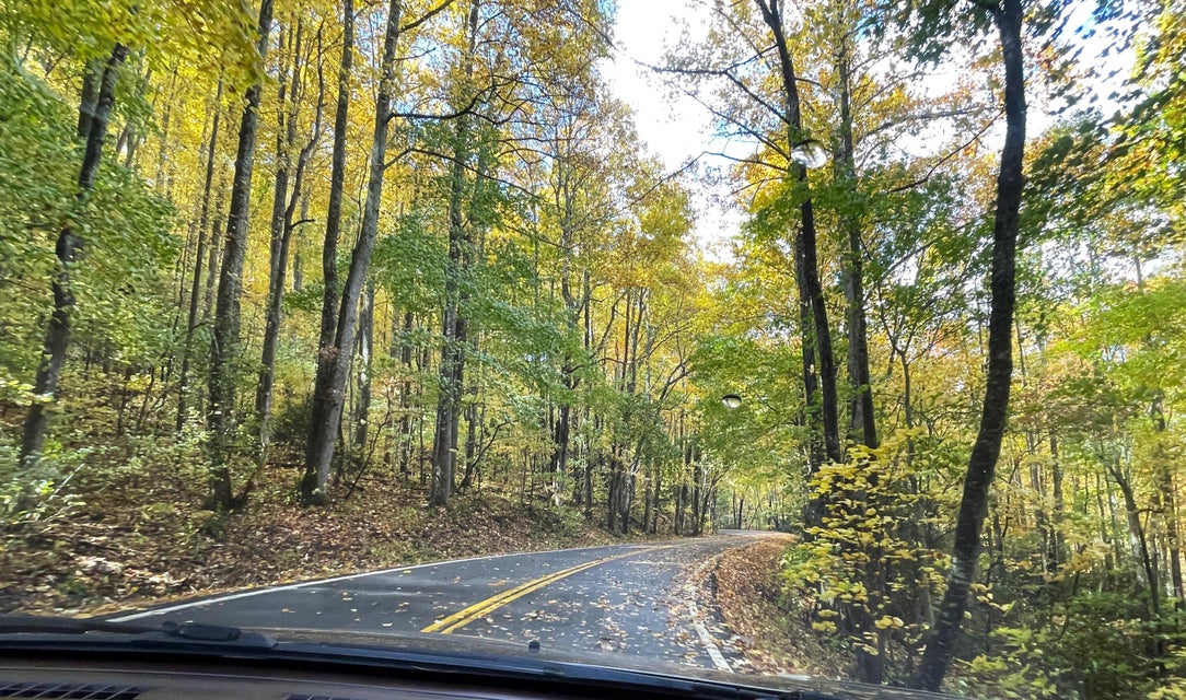 Photo #20: 1775 Barnes Valley Road