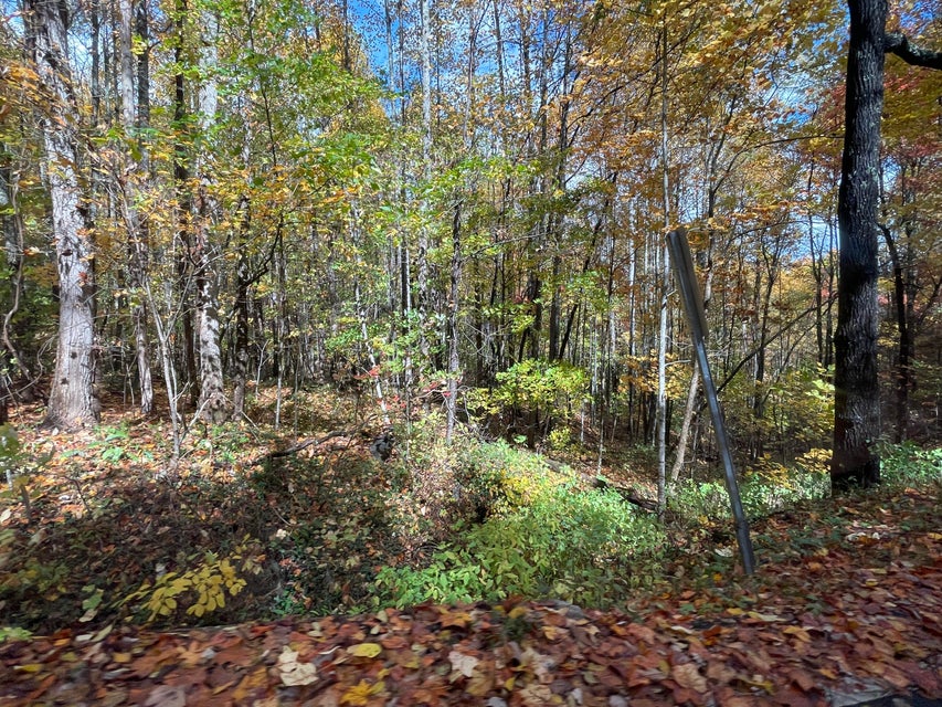 Photo #26: 1775 Barnes Valley Road