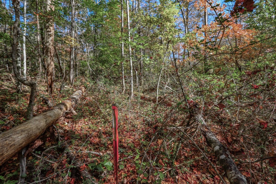 Photo #11: Lot 3 Fancher Road