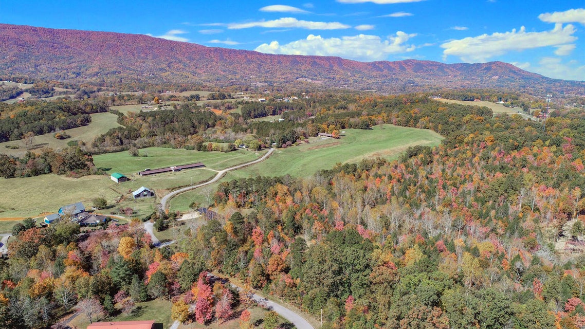 Photo #19: Lot 3 Fancher Road