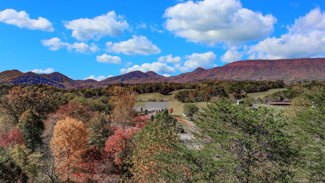 Photo #24: Lot 3 Fancher Road