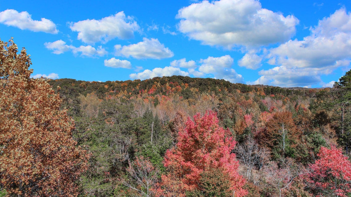 Photo #25: Lot 3 Fancher Road