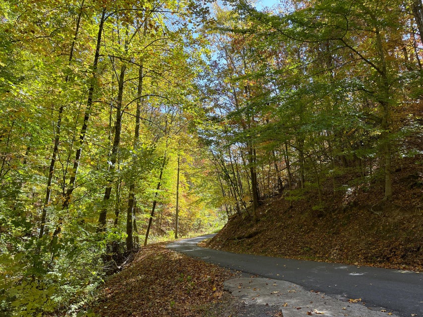 Photo #49: 148 Delph Lane