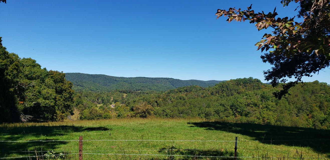Photo #4: Tbd Big Creek Road