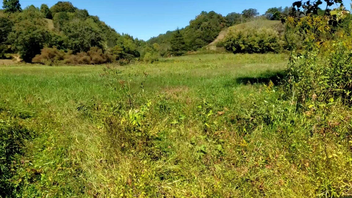 Photo #2: Tbd Big Creek Road